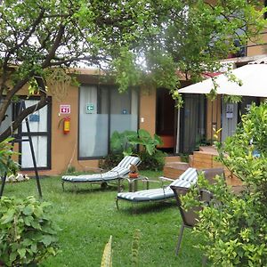 Habitación con Cama King